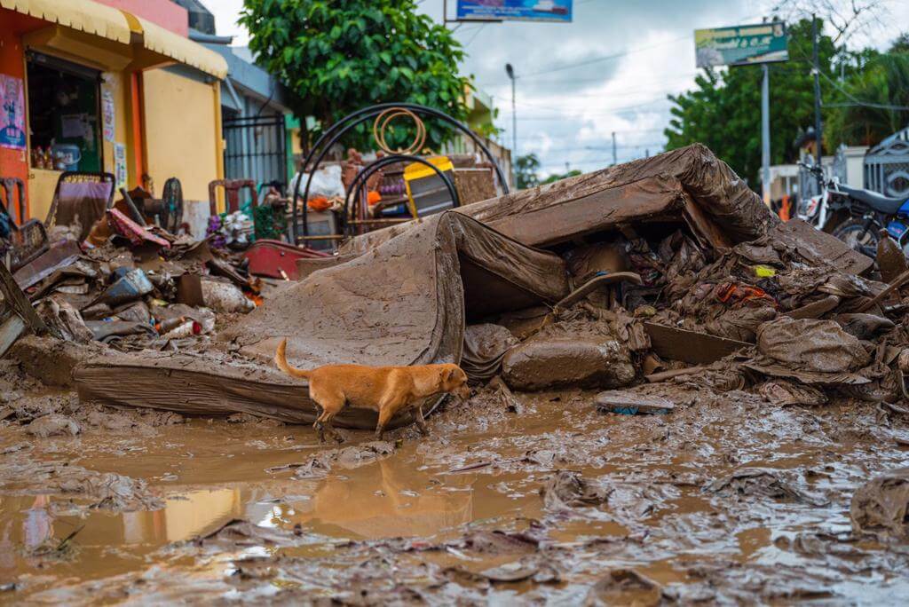 Imagen: Fuente Externa